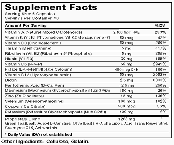 CircuPlus